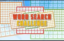 Word Search Challenge