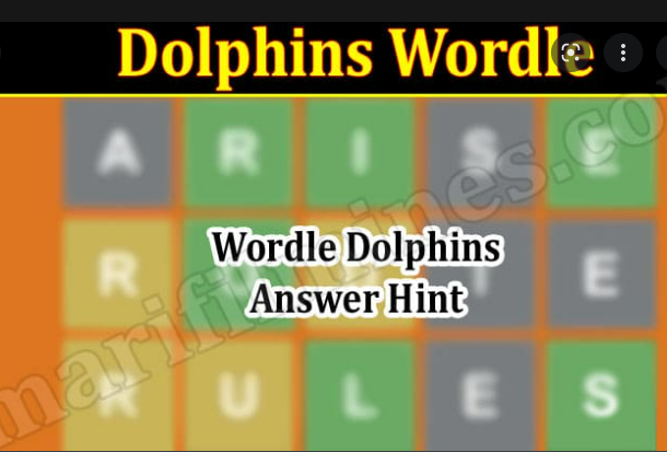 Weddle Answer Today All Wordle NFL Players Guessing Game solutions